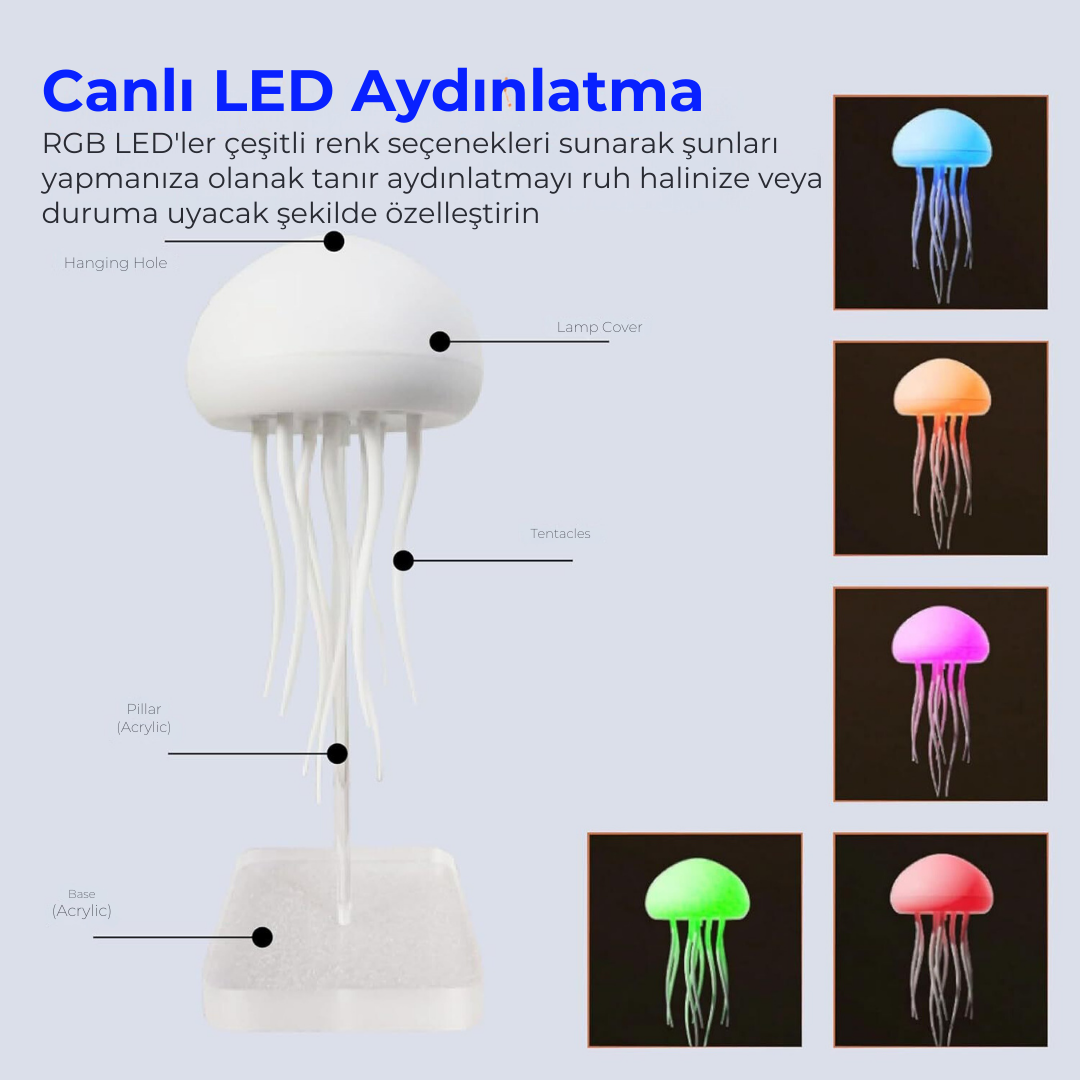 Jelly Fish Lambam Printoys®